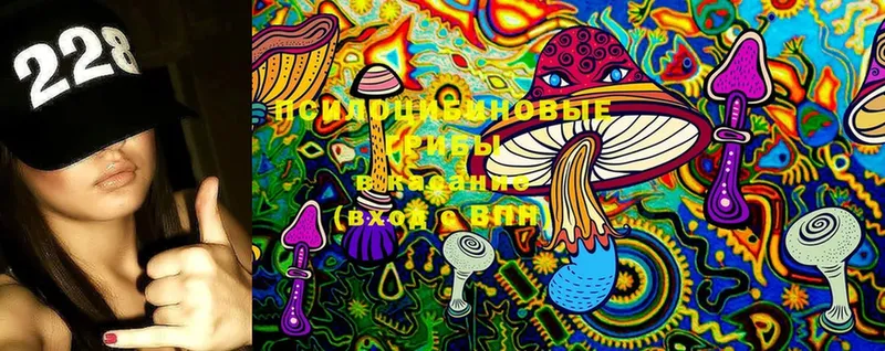 Псилоцибиновые грибы MAGIC MUSHROOMS  гидра tor  Верещагино 